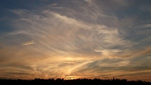 DSC_0244 (4)